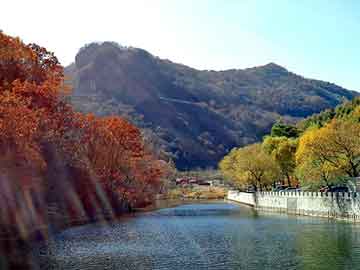 新澳天天开奖资料大全旅游团，太极神贴